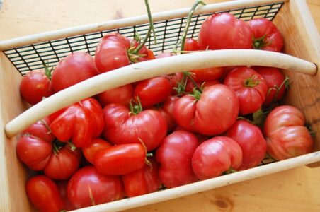 Canning for Home Food Preservation: Is it for You? Image